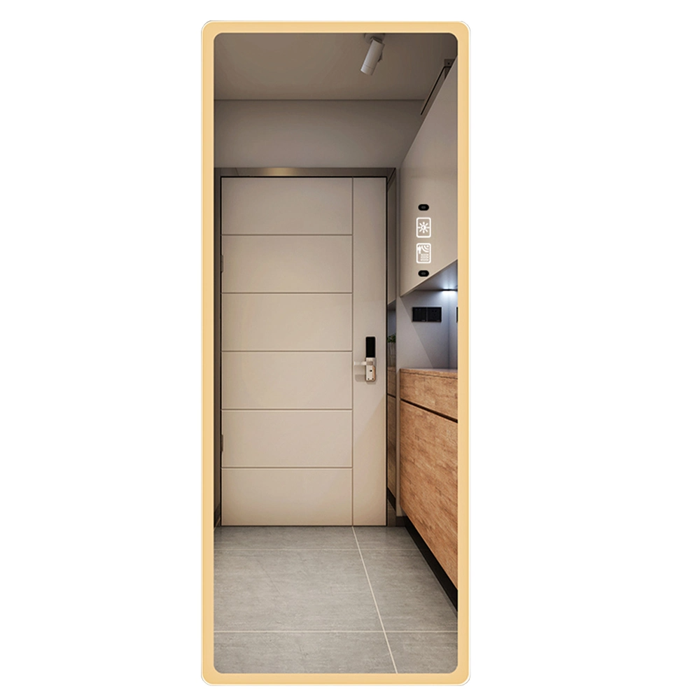 Volledige lengte wandgemonteerde lichte slimme rechthoek Defogger Dressing Hair LED-salonspiegels