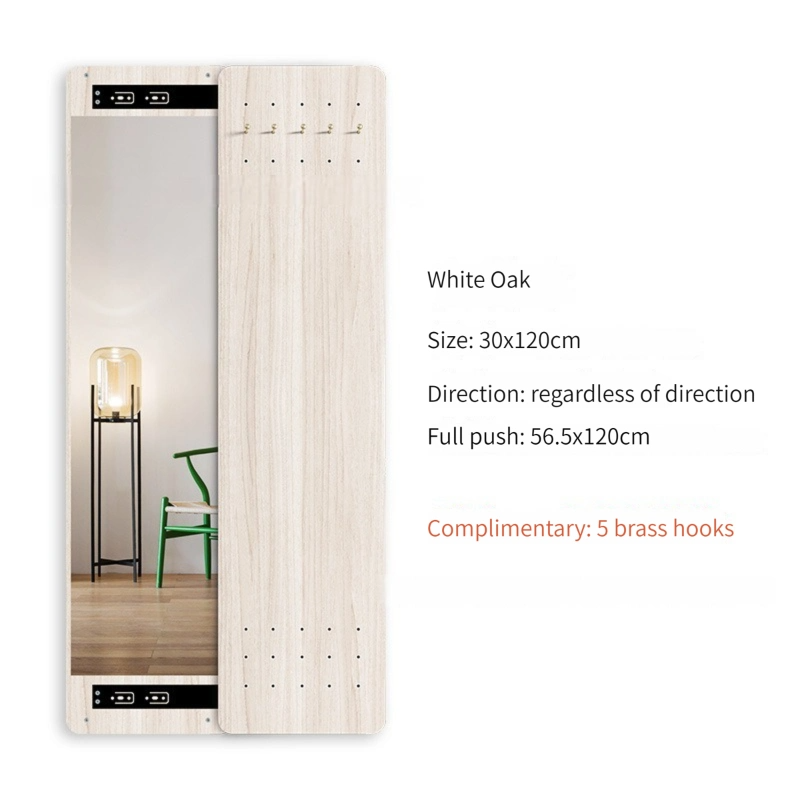 Hole Board Full-Length Nordic Explosion-Proof Mirror Push Pull Verborgen Wall-Hanging Fitting Mirror